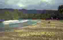 Strand Pto. Colombia