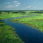 Okavango