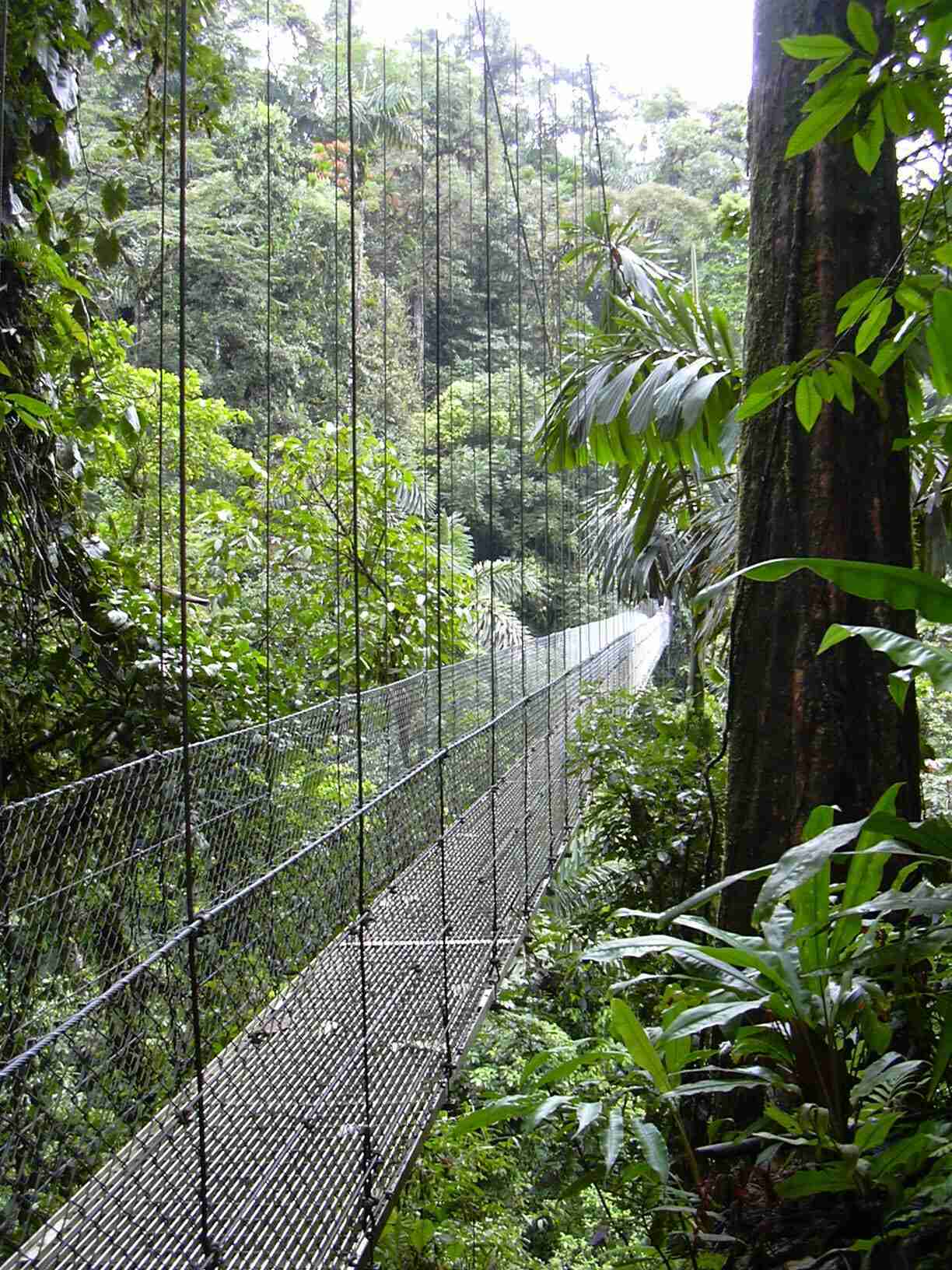 Costa Rica Reisen + Monteverde - Vulkan Arenal Paradise Reise Service