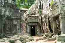 Ta Phrom Tempel Angkor