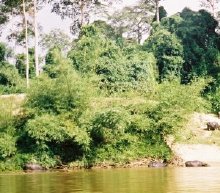 Taman Negara