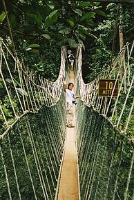 Canopy Walkway