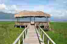 Beobachtungsplattform