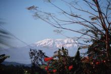 Kilimanjaro