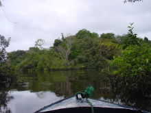 Auf dem Amazonas
