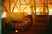 Heliconia Camp