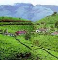 Munnar