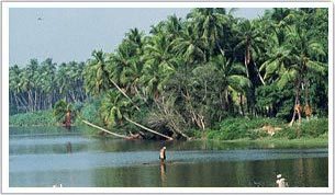 Backwaters