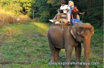 Nepal Reisen - Kathmandu, Chitwan & Rafting Paradise Reise Service