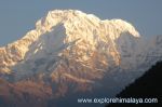 Nepal Reisen und Individualreisen - Wildlife & Mt. Everest