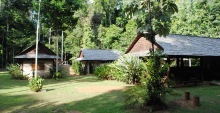 atta_rainforest_lodge