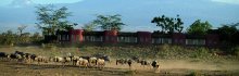 amboseli_serena_lodge