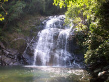 Wasserfall im Dschungel