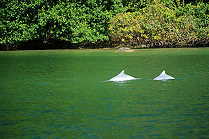 Superagui Nationalpark