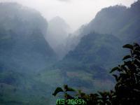 Landschaft bei Pakbeng