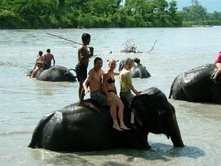 Elefantenritt Chitwan NP