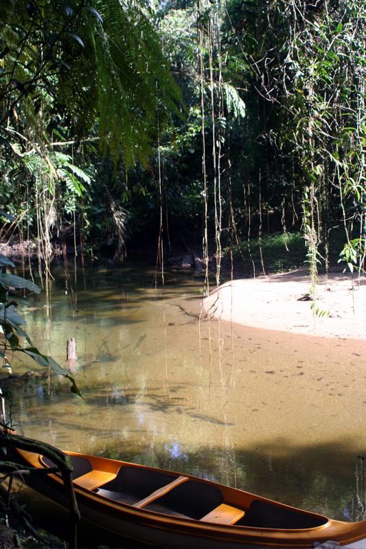 Brasilien Reisen - Tropischer Regenwald Paradise Reise Service