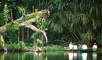 Bolivien Reisen - Individualreisen Amerika - Madidi Nationalpark