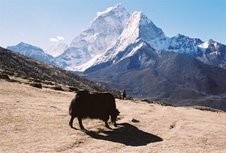Nepal Reisen - Lodge Trekking zum Everest Basislager Paradise Reise Service