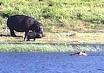 Sibuyu Forest Reserve