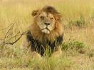 Massai Mara Game Reserve