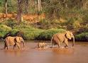 Tsavo West Nationalpark