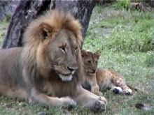 Tsavo Ost Nationalpark