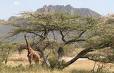 Shaba Game Reserve