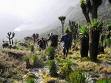 Ruwenzori Gebirge