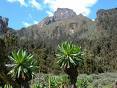 Ruwenzori Gebirge