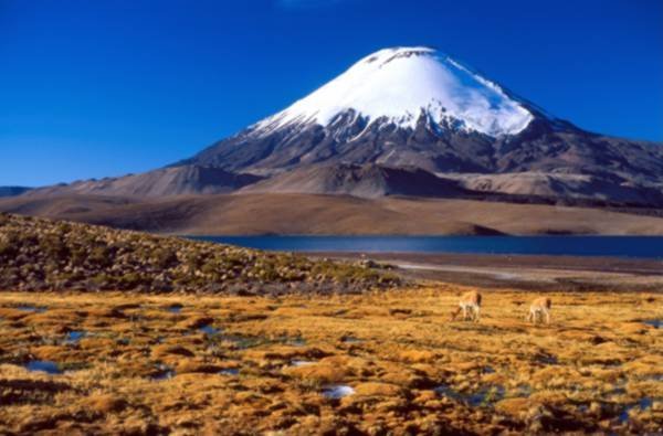 Chile Reisen - Chile Express Paradise Reise Service