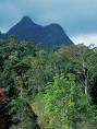 Kinabalu Nationalpark