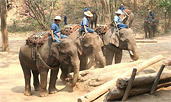 Thailand Reisen und Individualreisen - Nordthailand