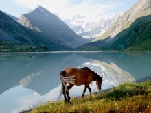 Altai