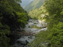 Iya Tal