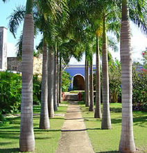 Hacienda San José