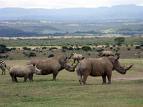 Tansania Reisen - Ngorongoro, Serengeti & Lake Manyara Paradise Reise Service