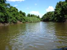 Karawari River