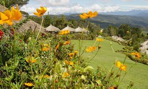 Ambua Lodge
