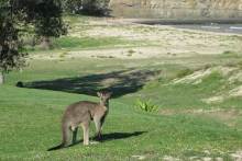 Murramarang Nationalpark