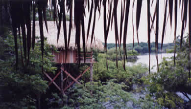 Brasilien Reisen - Juma Lodge Amazonas Paradise Reise Service