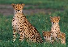 krueger_nationalpark