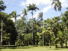 Jardin de L Etat St.Denis