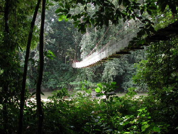 Malaysia Reisen und Individualreisen - Borneo - Sabah Intensiv