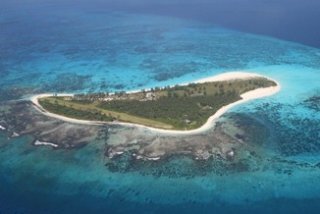 Birds Island