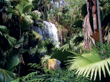 Vallée de Mai