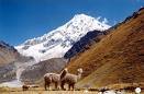 Peru Reisen + Salkantay Trail - Paradise Reise Service
