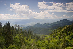 Bordschomi Nationalpark