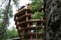 Hotel Nothofagus