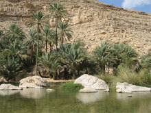wadi_bani_khalid